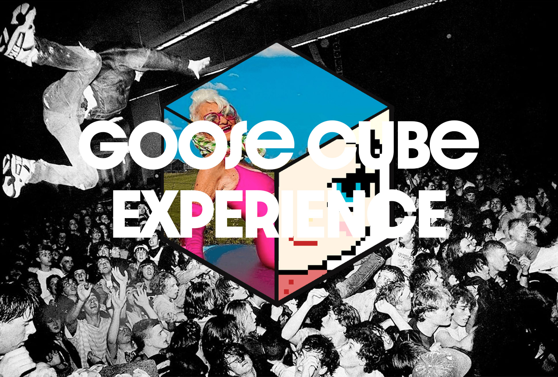 Original Goose Cube Experience project collage