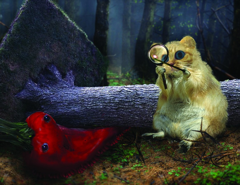 Forest creatures and a magnifying glass — historical montage