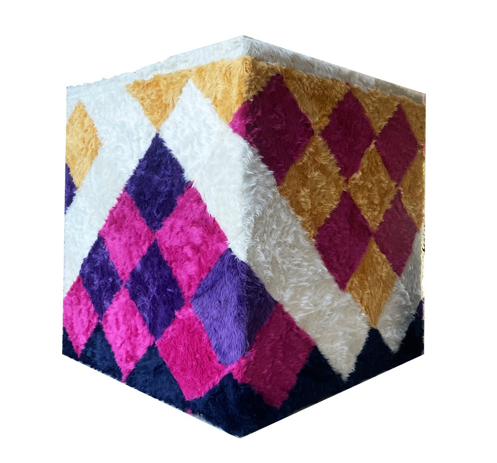 Goose Cube Three — Photograph