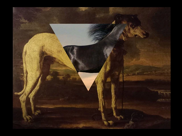 Horse and geometric fragments