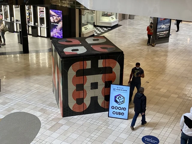 Goose Cube One · overhead view